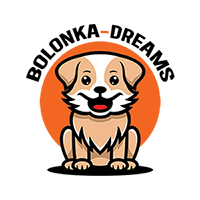 Bolonka Dreams