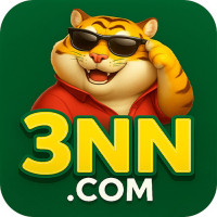 3NN