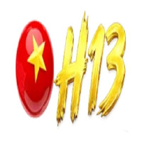 H13