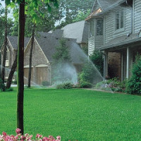 woods landscaping and irrigation
