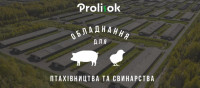 PROLISOK