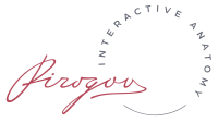 Pirogov Interactive anatomy
