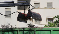 River City Tree Removal
