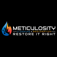 Meticulosity Restoration