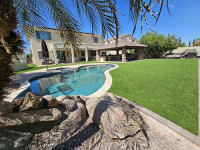Desert Grass and Greens