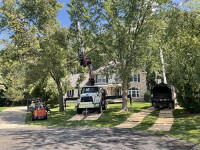 Holtslander And Sons Tree Service