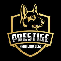 Family Protection Dog for Sale | Prestige Protection Dogs