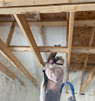 Penguin insulation