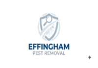 Effingham Pest Removal