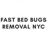 Fast Bed Bugs Removal NYC