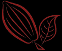 Nusantaracocoa