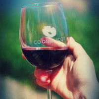 Best Organic Wine Tasting Los Olivos