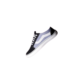 Fashionable Canvas Shoes for Men