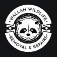 Wallah Wildlife LKN