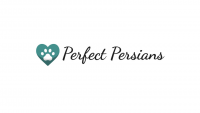 Perfect Persians