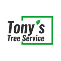 Tony's Tree Service LLC