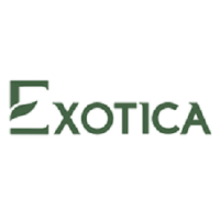 Flower Shop in UAE | Exotica UAE