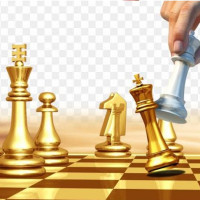 Online Chess Coaching, Personalized online chess guidance