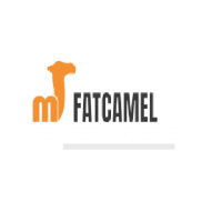 Fatcamel software services