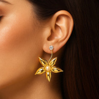 earrings for women