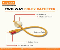 Top Bardia 2 Way Foley Catheter