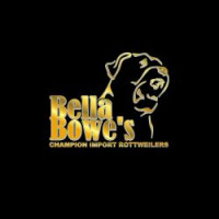 Bella Bowe’s Rottweilers