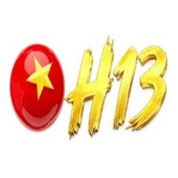 H13