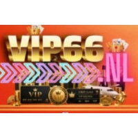 VIP66