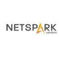 Net Spark Solutions