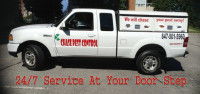Commercial Pest Control Services