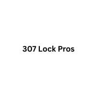 307 Lock Pros