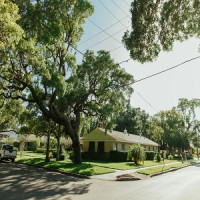 Top Notch Tree Service