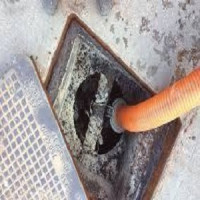 Tiger Grease and Septic