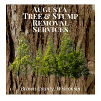 Augusta Tree & Stump Removal Services
