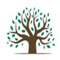 HD Tree Services