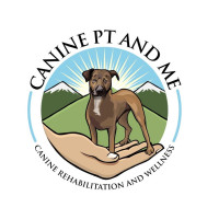 Dog Physical Therapist Near Me