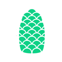 Jack Pine Media | Marketing Agency