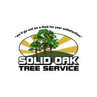 Solid Oak Tree Service