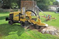 New Creation Tree Service-Tree Cutting Service Upper Marlboro MD