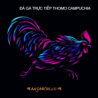 ĐÁ GÀ THOMO