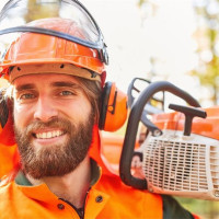 Tree Service Sunnyvale