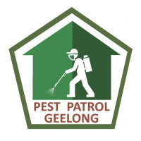 Commercial Pest Control in Geelong