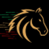 RaceX LLC-FZ