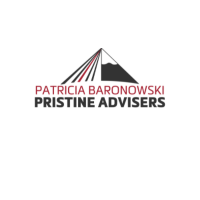 Reputed Financial Services Marketing Agency | Pristineadvisers.com