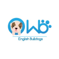 WB English Bulldogs