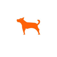 motowatchdog