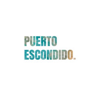 Real Estate Puerto Escondido