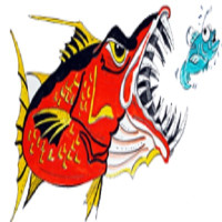 North Myrtle Beach Fishing Charters
