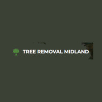Tree Removal Midland