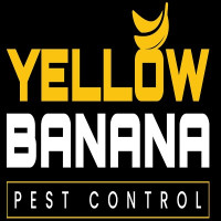 Yellow Banana Pest Control